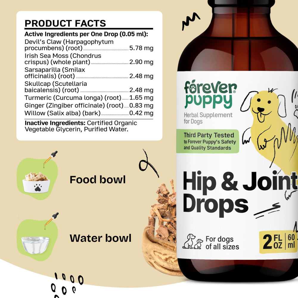 Forever Puppy devils-claw-root — plant extract featured in the formula for mobility-friendly nourishment.