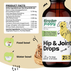 Forever Puppy devils-claw-root — plant extract featured in the formula for mobility-friendly nourishment.