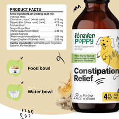 Forever Puppy dog-food-addition-easy-use dropper—simple administration for busy households.