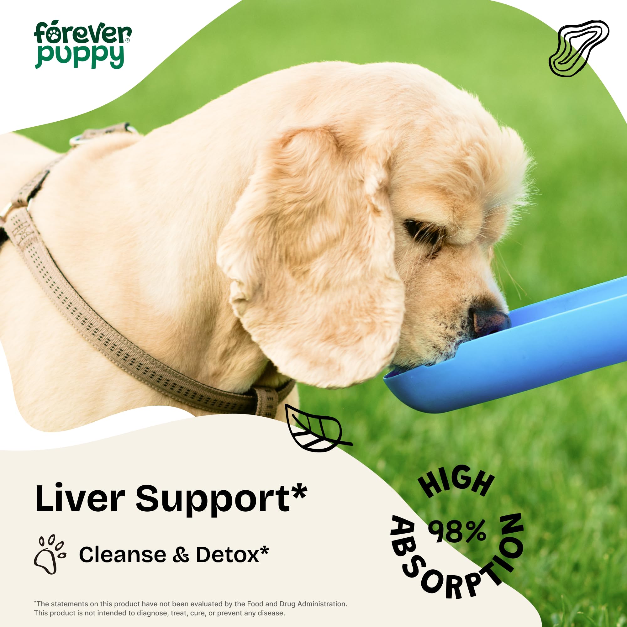 Forever Puppy Milk Thistle Drops pipette delivering easy-to-add daily herbal support in meals