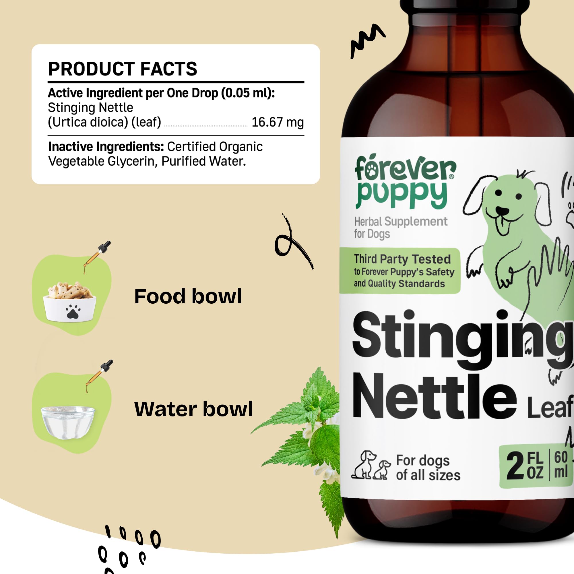 Forever Puppy nettle leaf closeup highlighting natural plant extract