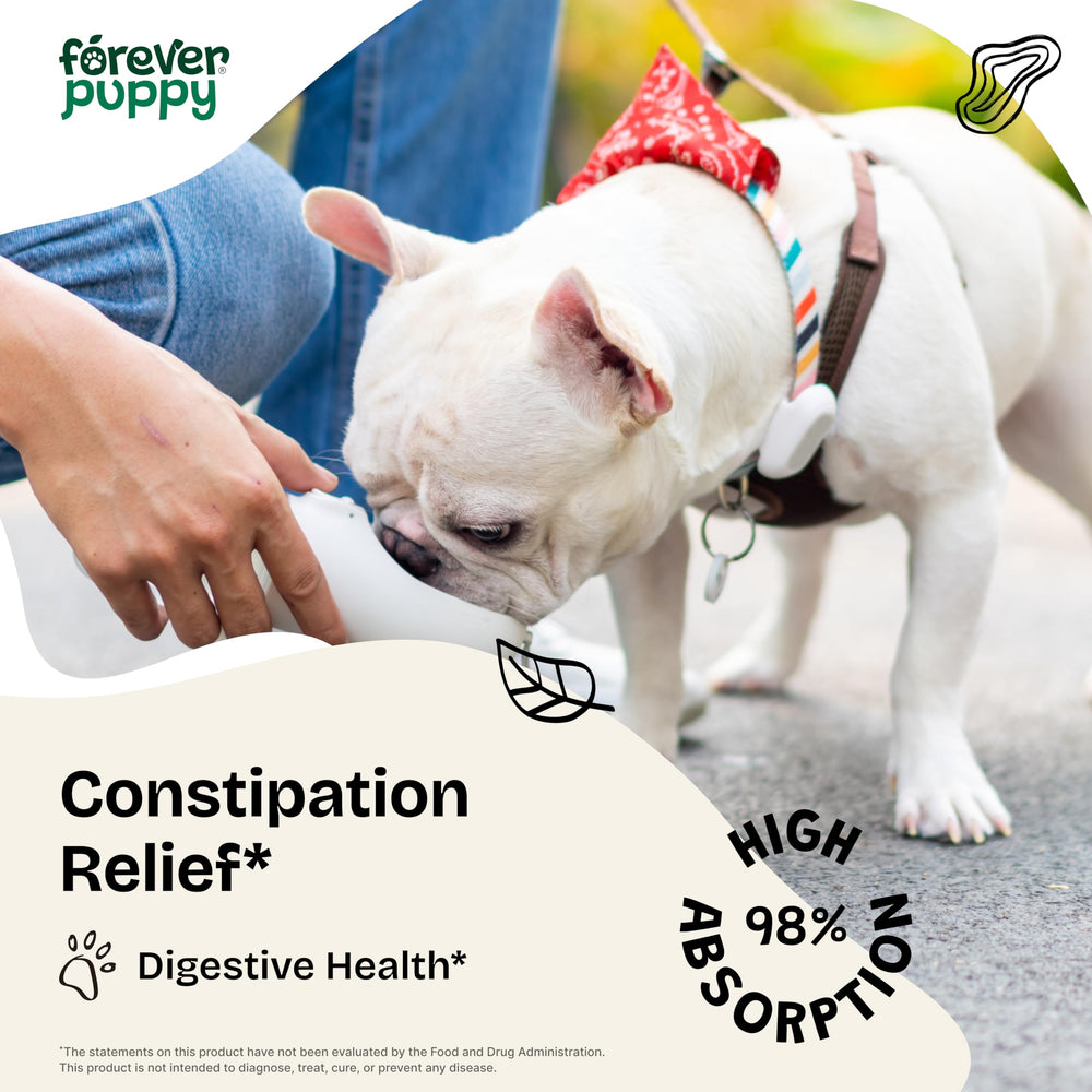 Forever Puppy sea-moss-slippery-elm-digestive-support jar—plant-based gut support.