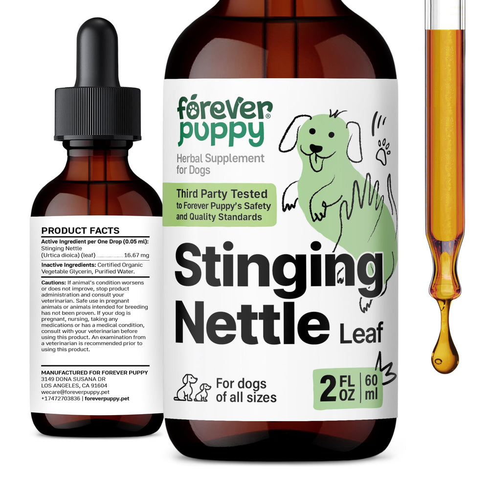 Forever Puppy nettle dog bottle showing convenient daily itch relief for dogs