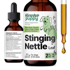 Forever Puppy nettle dog bottle showing convenient daily itch relief for dogs