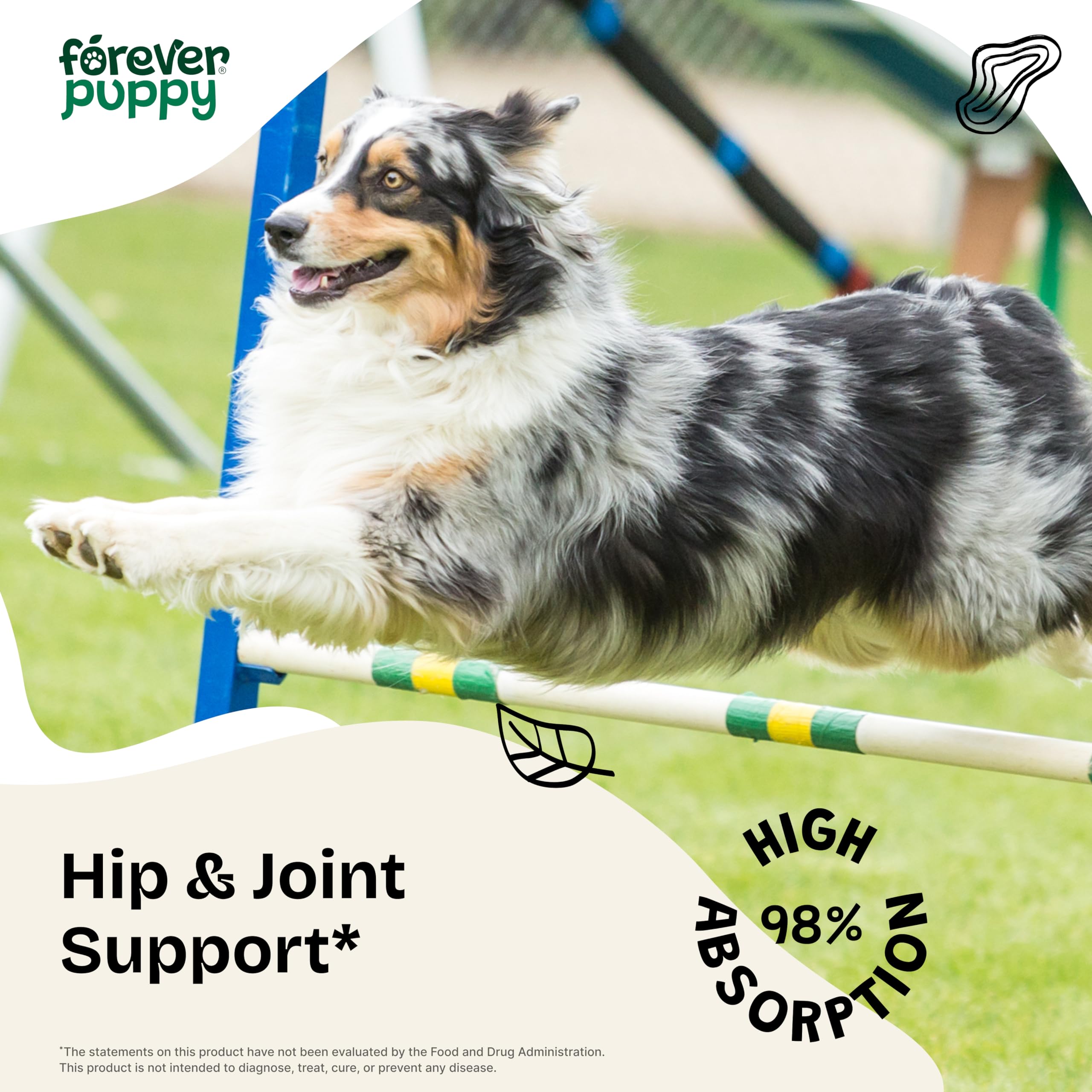 Forever Puppy turmeric-root ingredient — natural component for daily joint comfort.