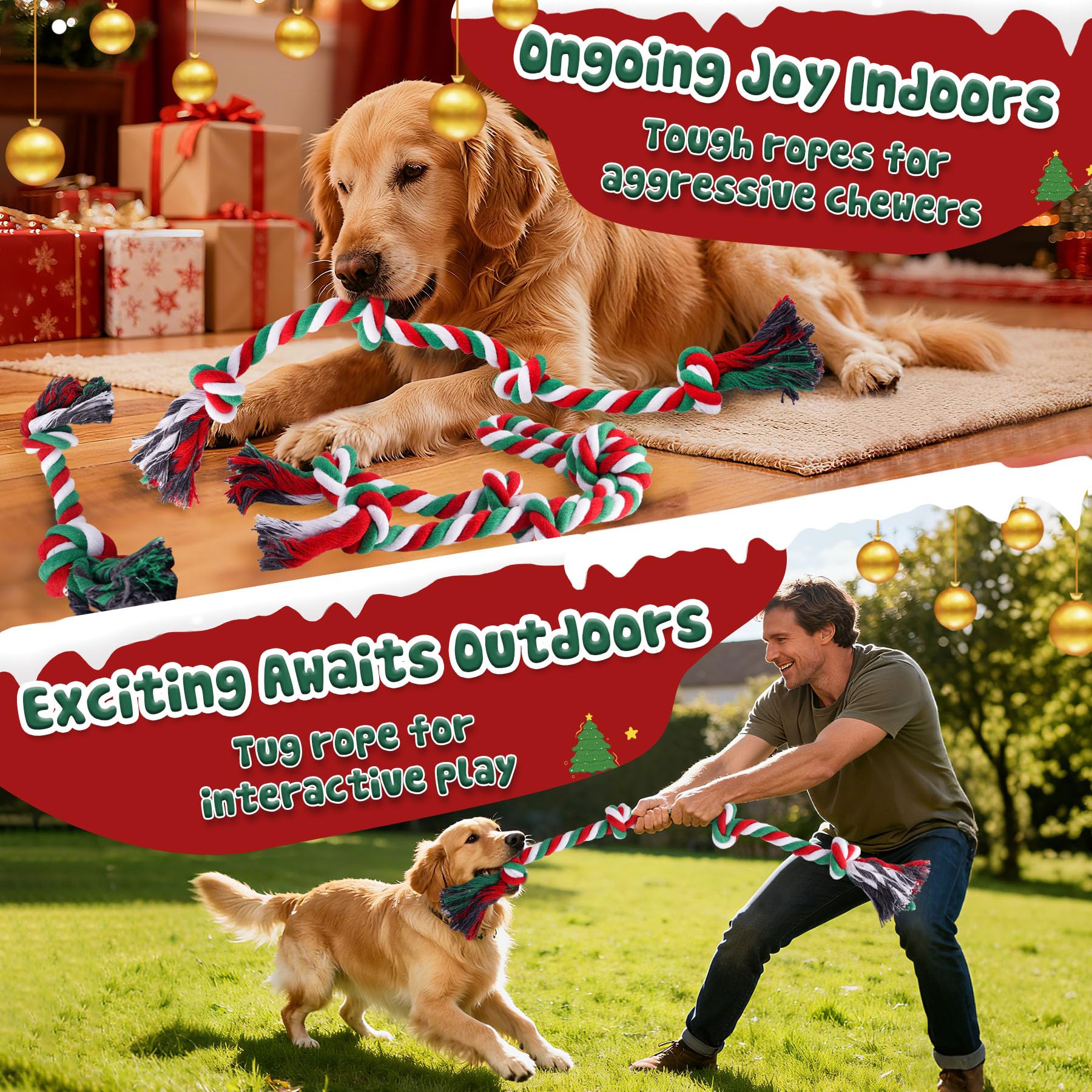 Forfon bolsa para limpieza de perro, práctica para paseos festivos.
