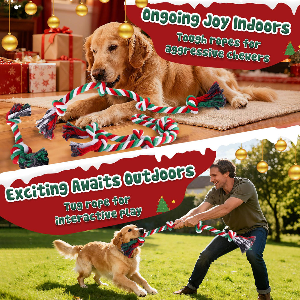 Forfon bolsa para limpieza de perro, práctica para paseos festivos.