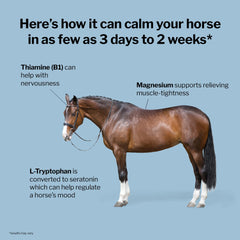 Formula 707 Calming Equine Supplement ingredients label highlights L-Tryptophan and magnesium.