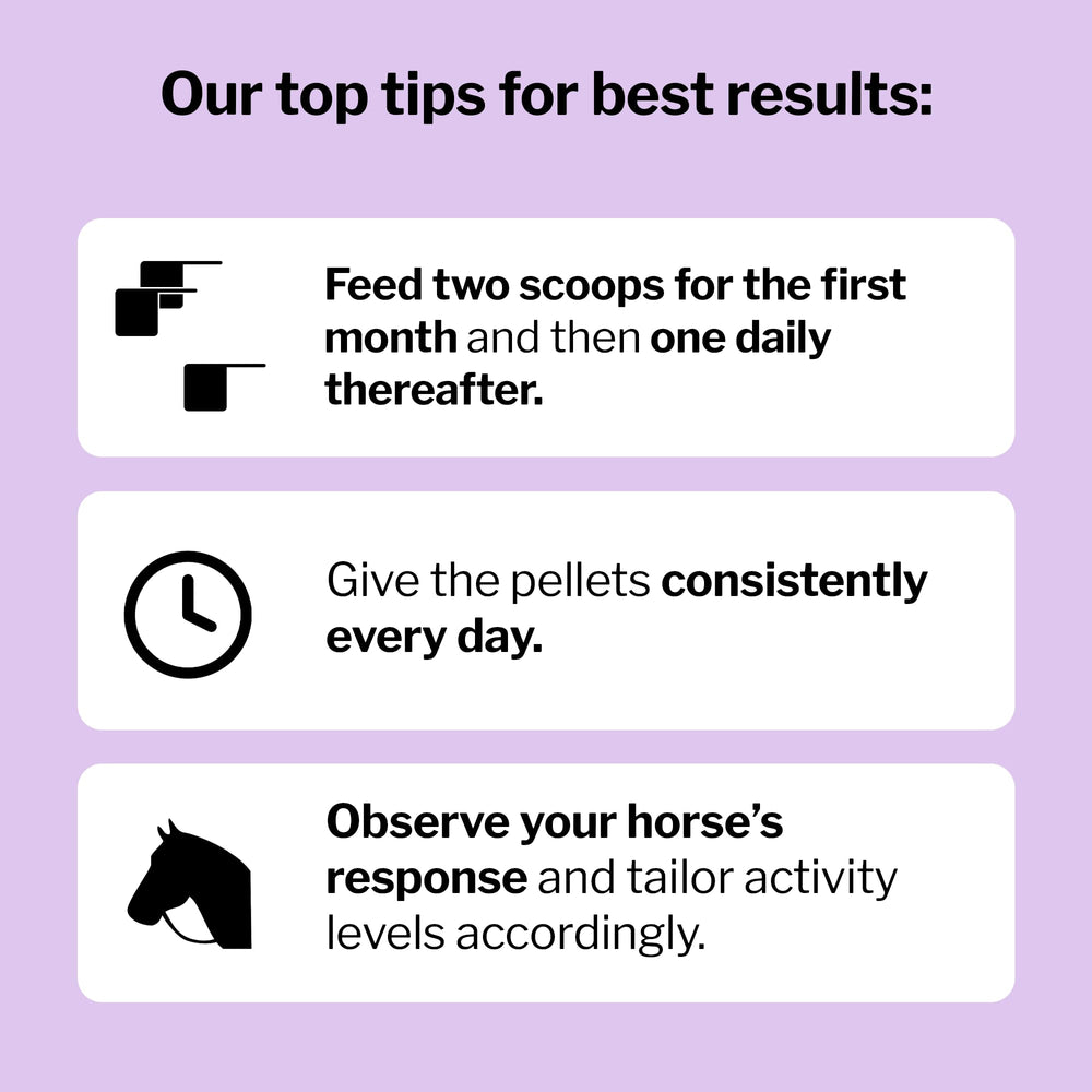 Formula 707 Collagen and Bromelain label emphasizes broad tissue support for horses