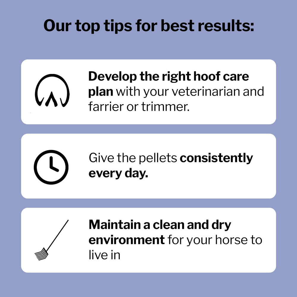 Formula 707 Hoof Health pellets promote a healthy-looking coat and skin.