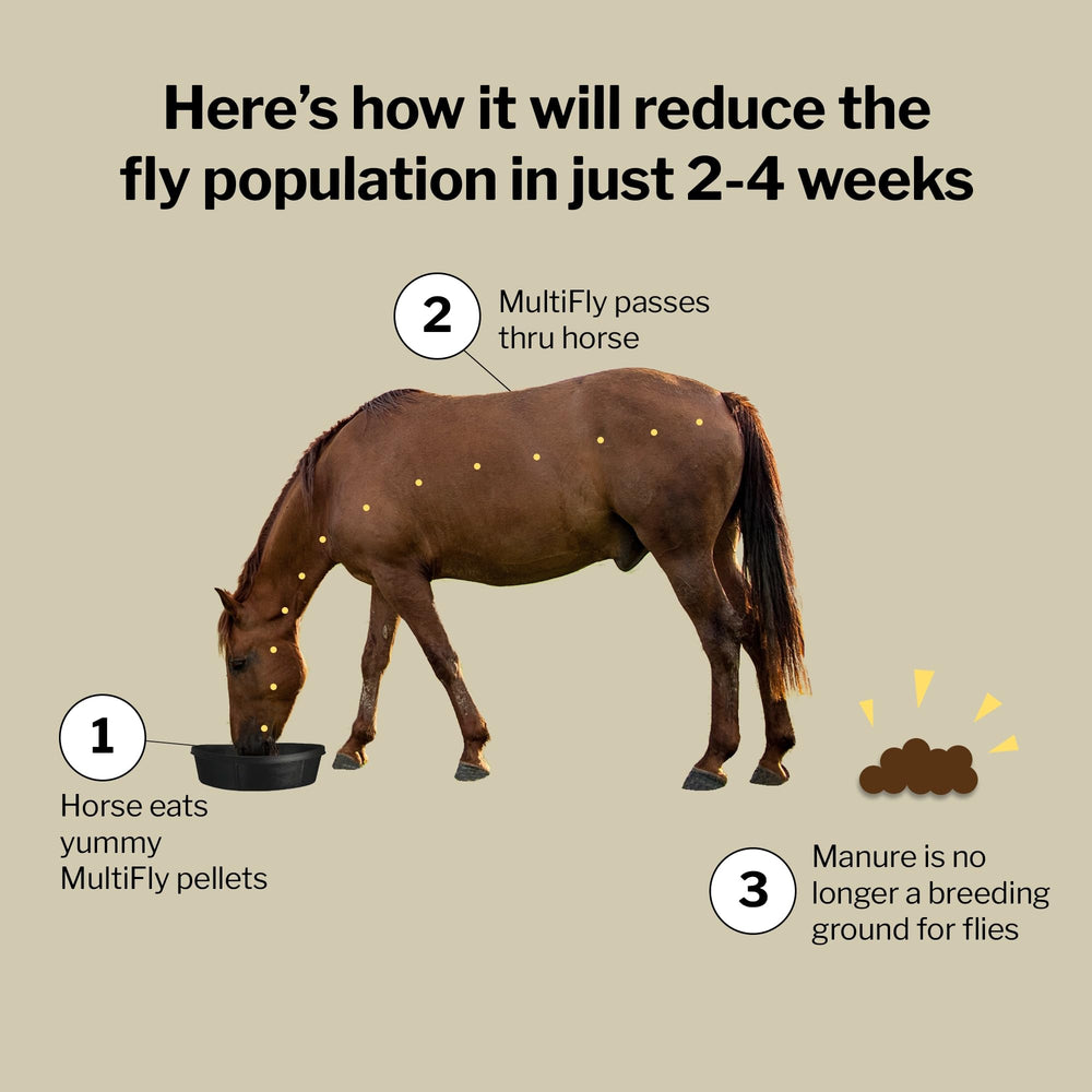 Formula 707 MultiFly application scene highlighting non-organophosphate safety for horses.