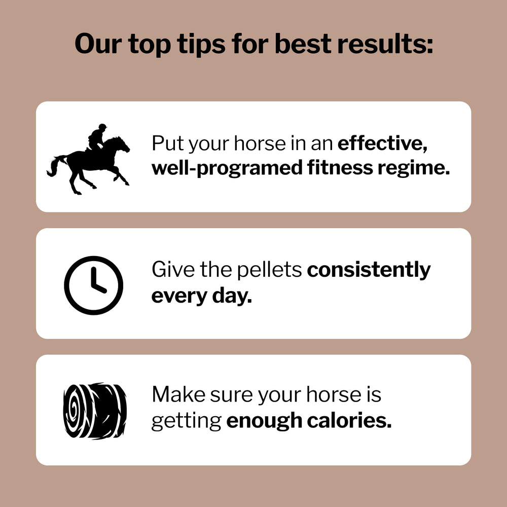 Formula 707 MuscleMx on a horse diet plan in a stall setting.