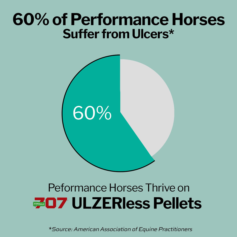 Formula 707 ULZERless grape seed extract ingredient panel highlighting antioxidants