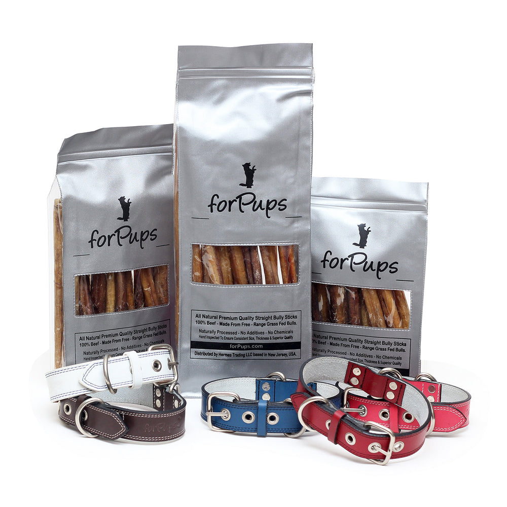forPups puppy enjoying stick — dogs experience long-lasting chew time and satisfaction.