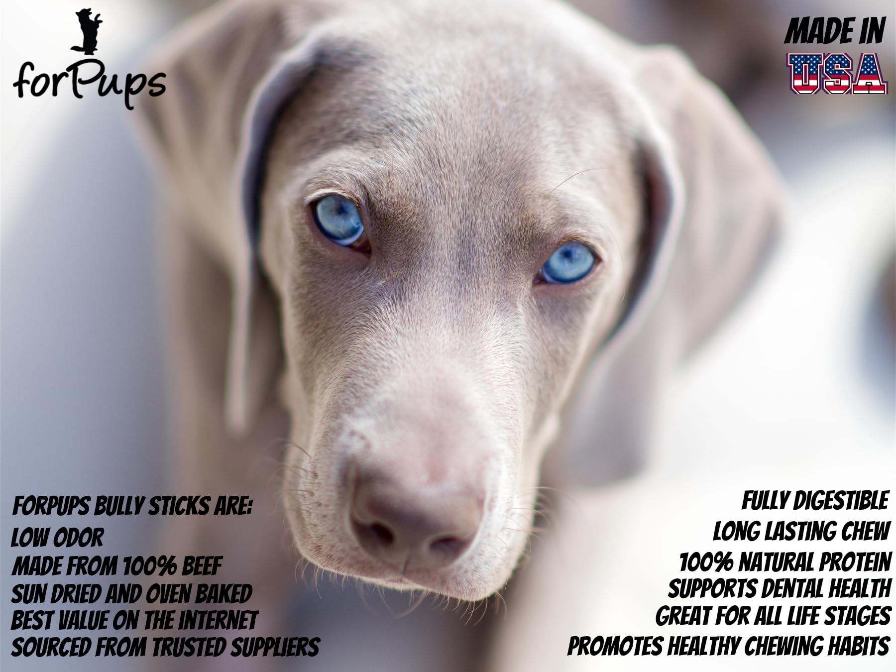 forPups Regular bully sticks 3-4 inch chews designed for long-lasting puppy play