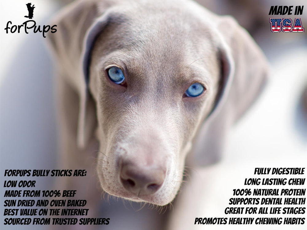 forPups Regular bully sticks 3-4 inch chews designed for long-lasting puppy play