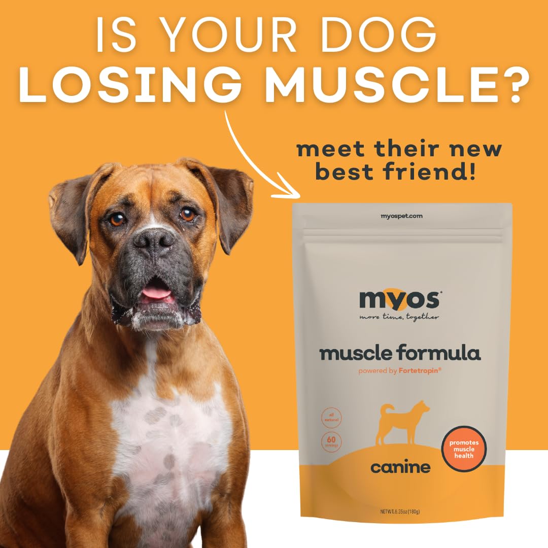 Fortetropin ingredient egg yolk highlighting natural muscle-supporting composition.