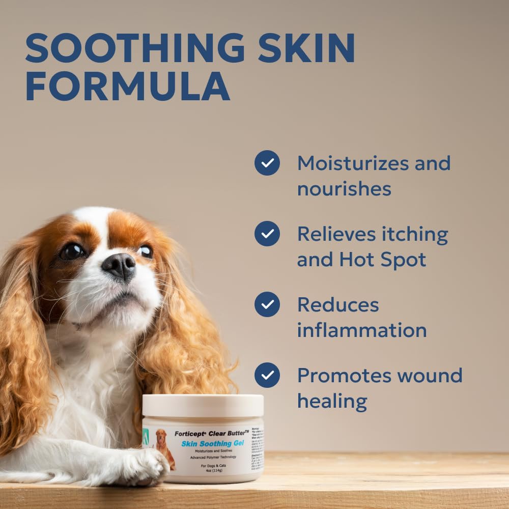 Forticept Clear Butter hydro gel biofilm-fighting action over a wound for faster healing.