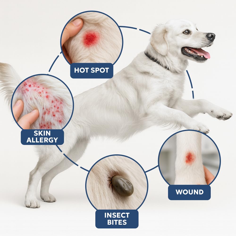 Forticept Clear Butter hydro gel wound-care close-up demonstrates safe barrier film protection.