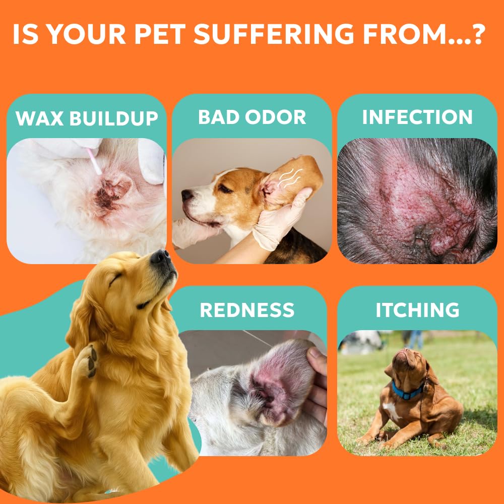 Forticept ear cleaner pre-clean prepares ears for effective treatment.