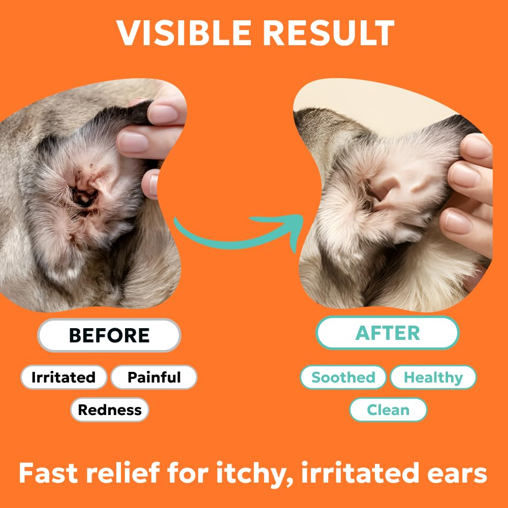 Forticept no-sting formula provides gentle care during ear treatment.