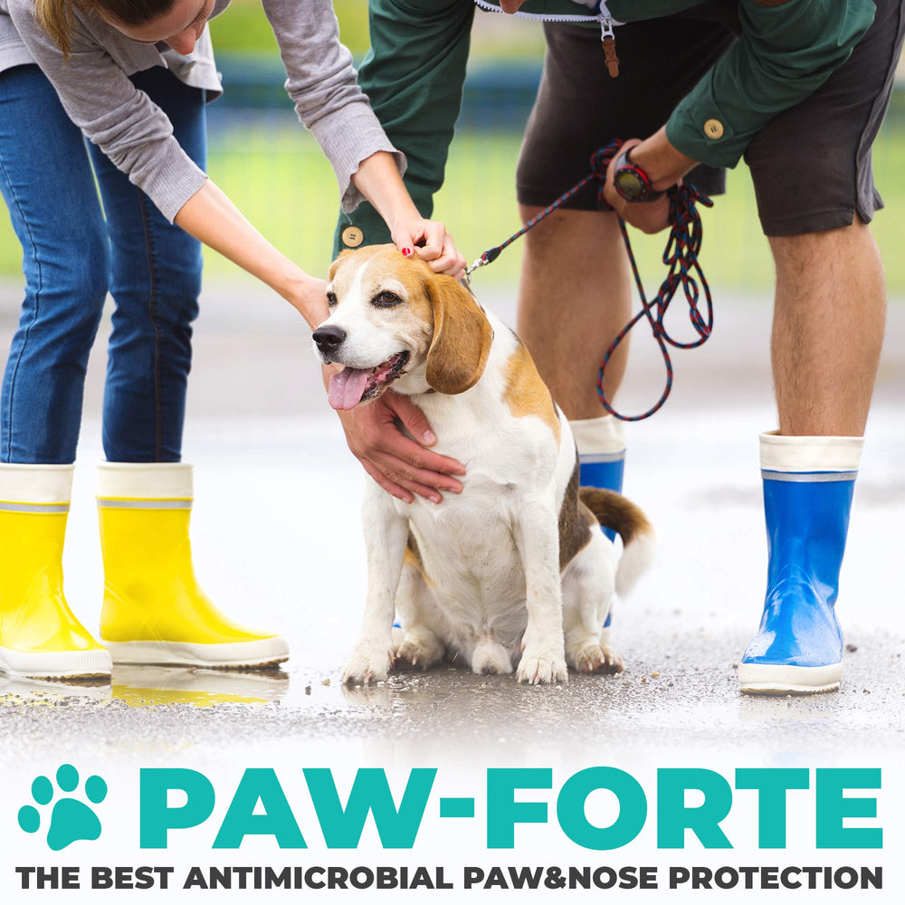 Forticept PAW Balm made in the USA for pet safety and quality.