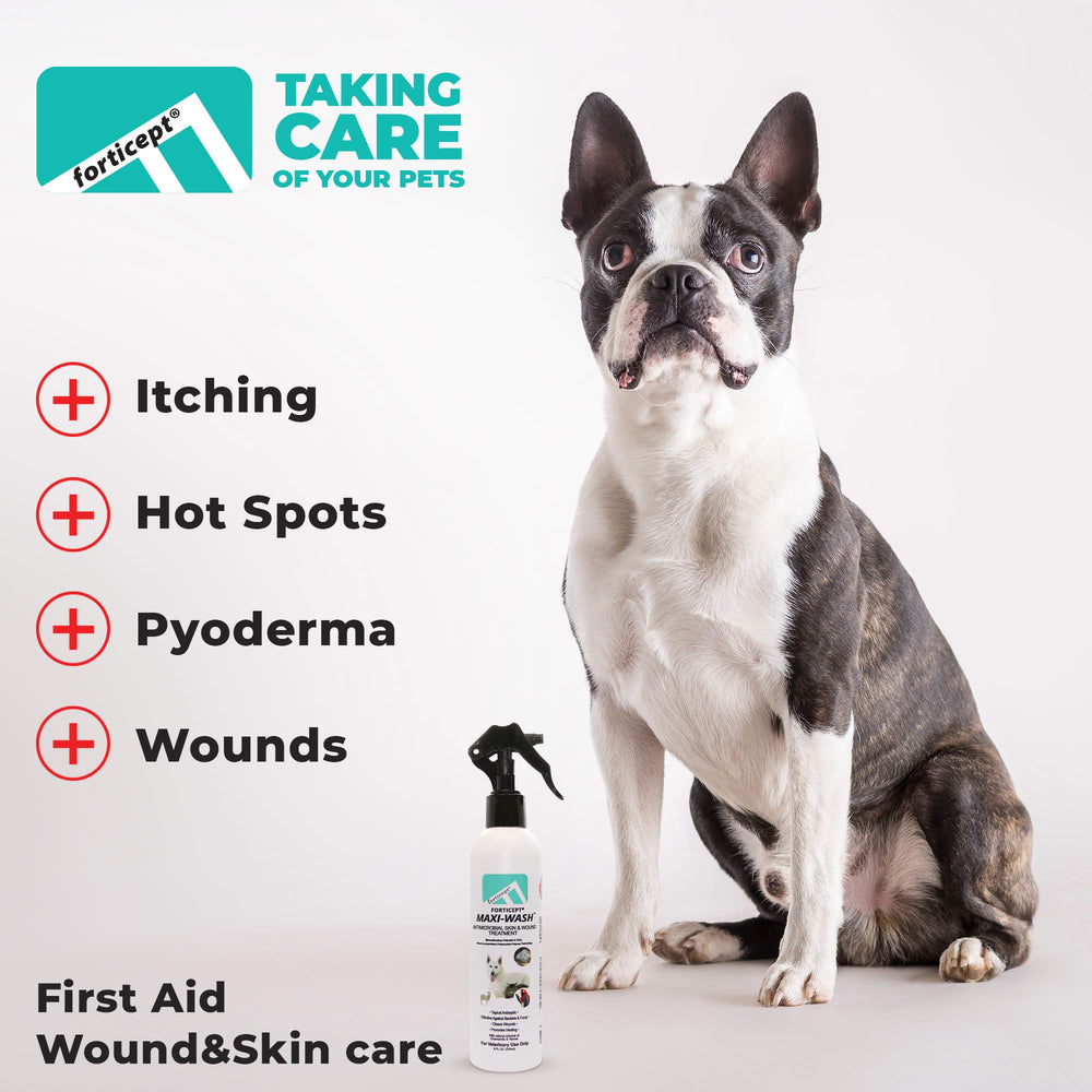 Forticept Paw Bandage Wrap 2-inch ready to protect a paw wound