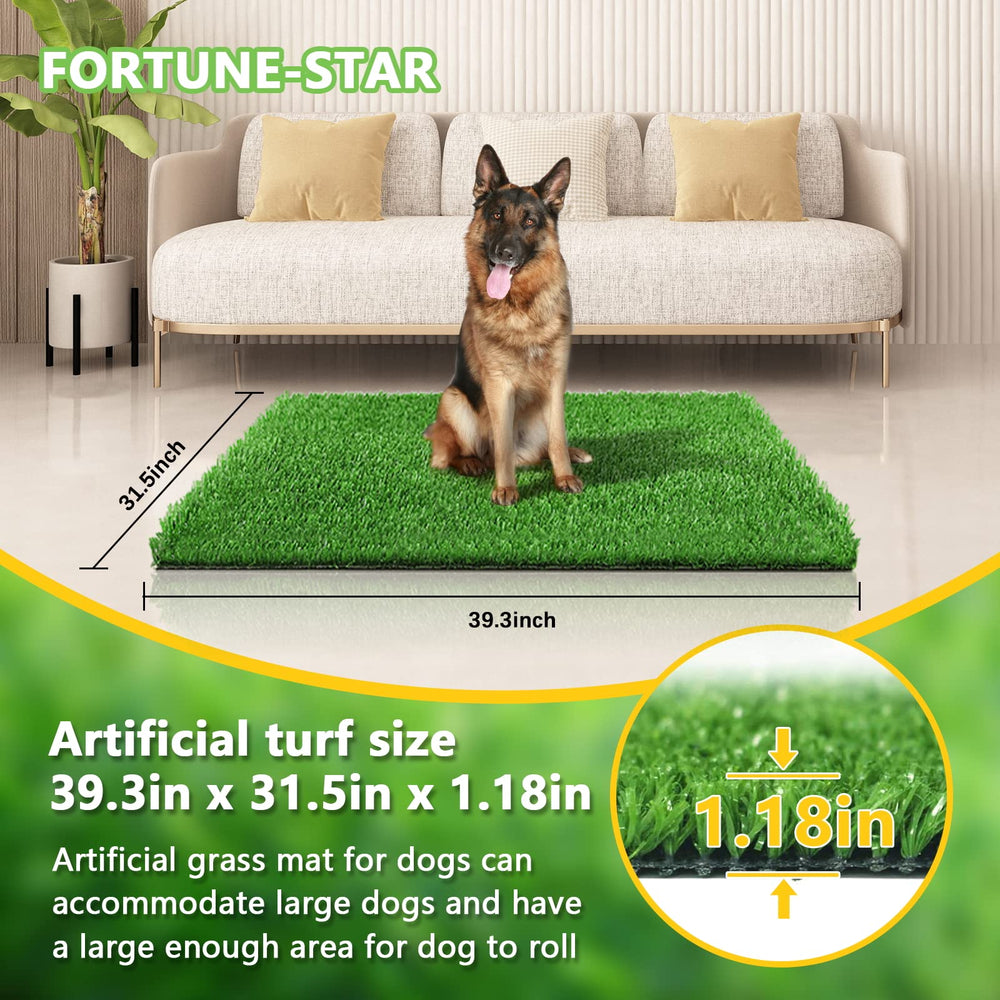 Fortune-star dog grass pad showing drainage holes for easy cleanup after use.
