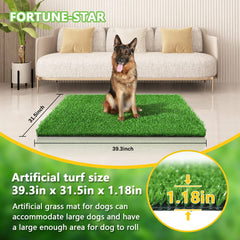 Fortune-star dog grass pad showing drainage holes for easy cleanup after use.
