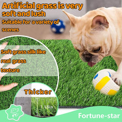 Fortune-star dog potty grass outdoor-setup displays durable turf for patios and yards.