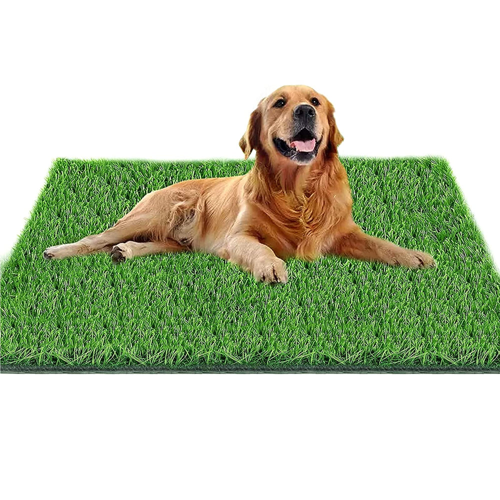 Fortune-star dog potty grass unrolled shows realistic turf for indoor potty areas.