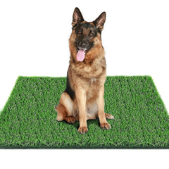 Fortune-star grass pad for dogs indoors outdoors with soft lush texture for year-round use.