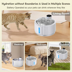 FortuneALL four water flow modes illustrated for varied hydration experiences.