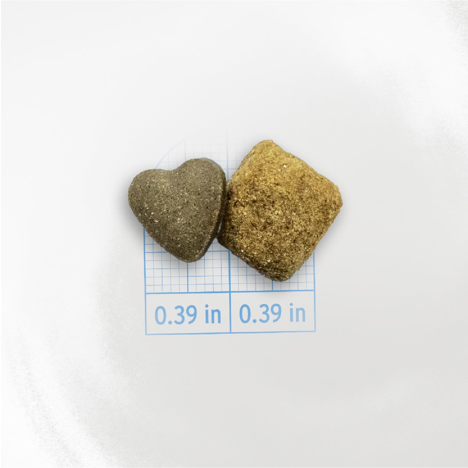 Forza10 8-8-lb bag product shot for daily dog nutrition.
