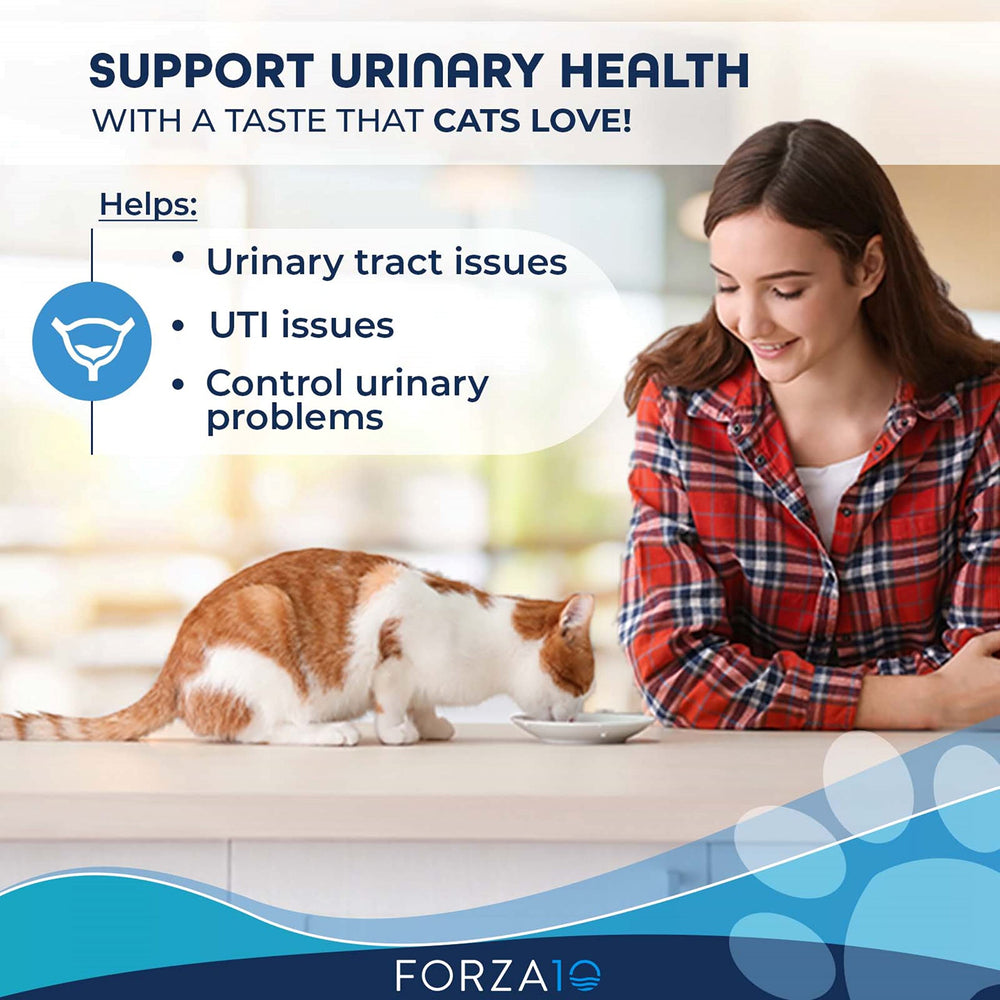 Forza10 Active Urinary dry food in bowl highlights texture cats may enjoy.