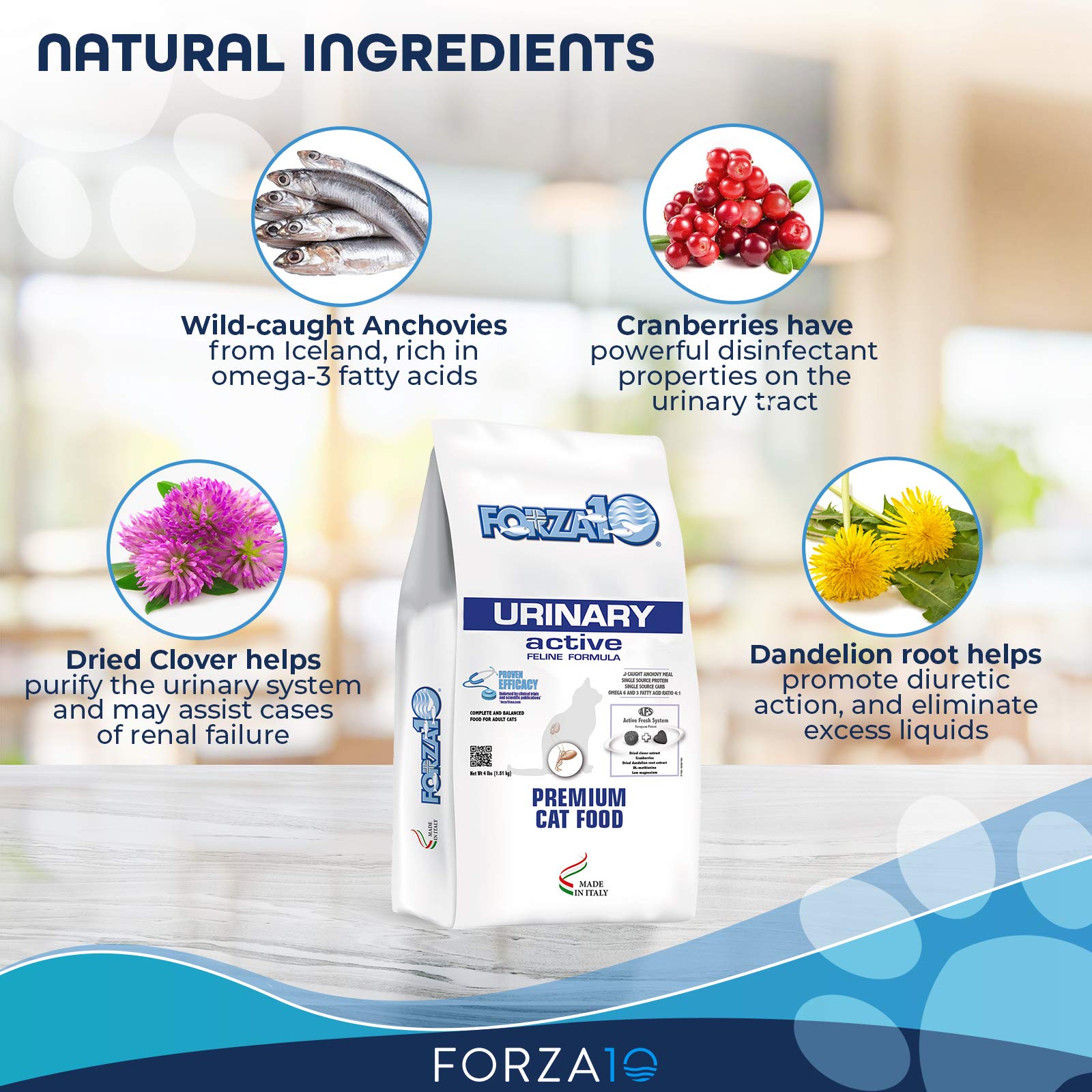 Forza10 Active Urinary packaging showcases low magnesium and urinary-focused formula.