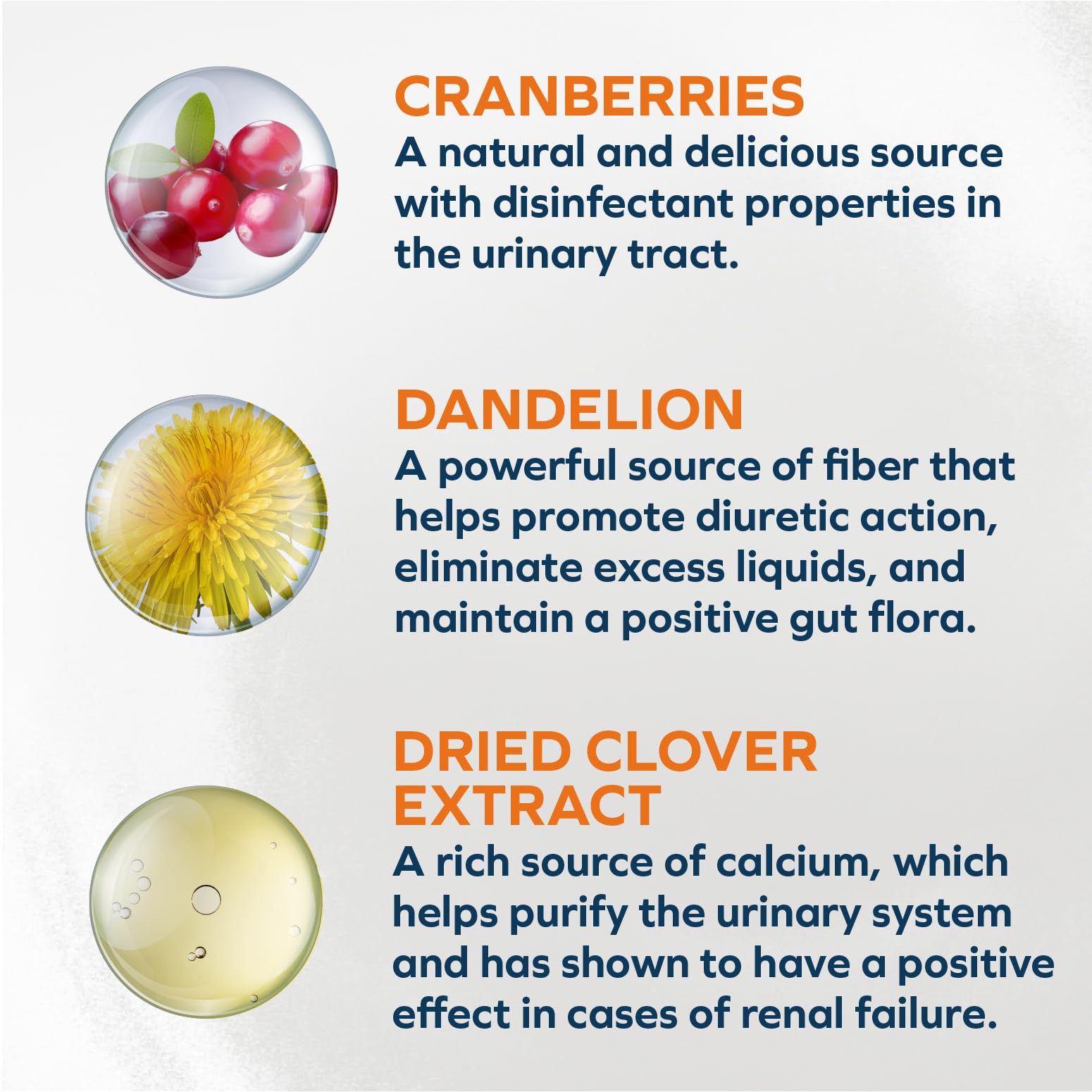 Forza10 complete kidney-friendly mix pairs with dry foods
