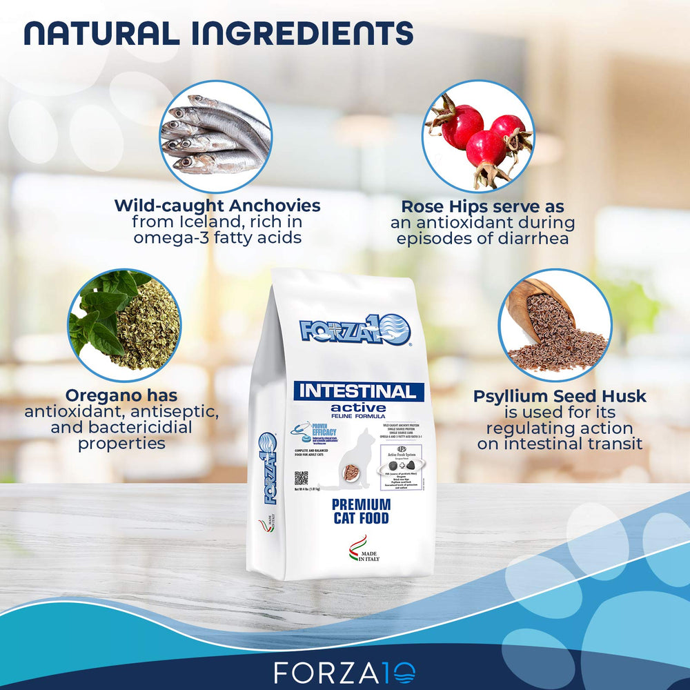 Forza10-dry-cat-food-scatter: high-protein, gluten-free carbs to ease gut issues.