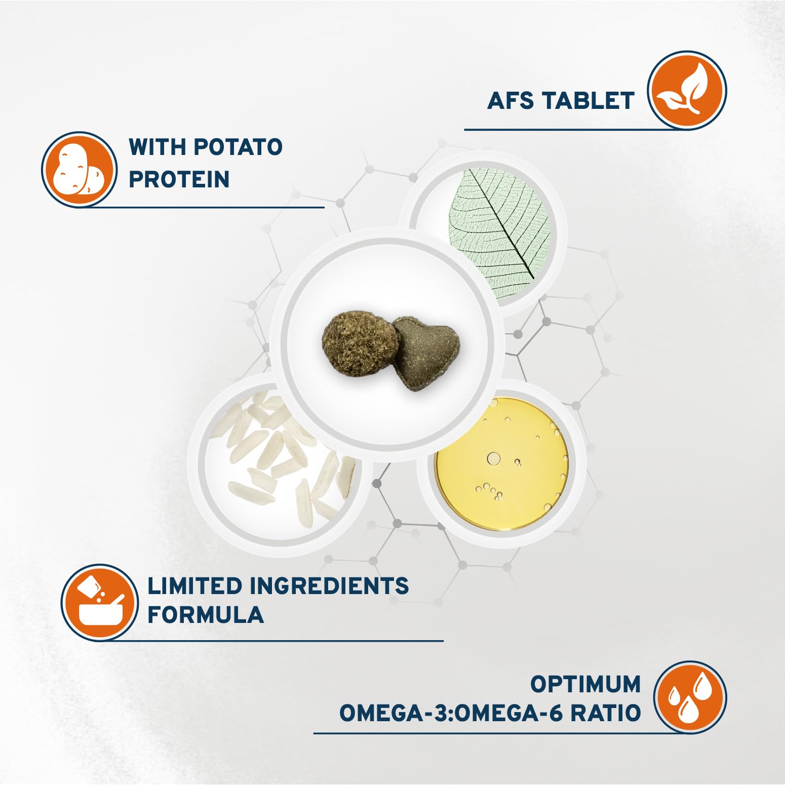 Forza10 gato sin OGM, receta natural.