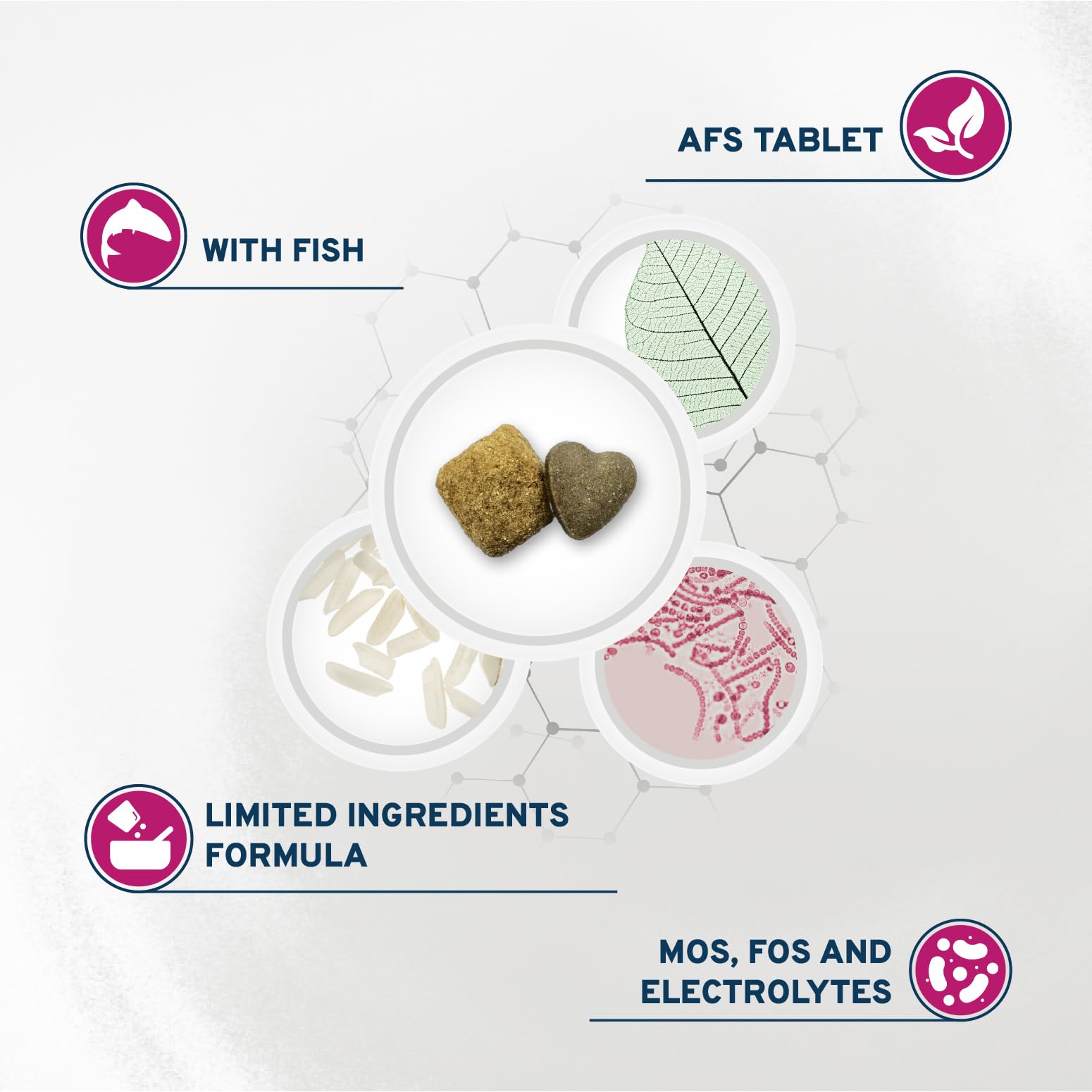 Forza10 non-GMO ingredients label indicating clean nutrition.