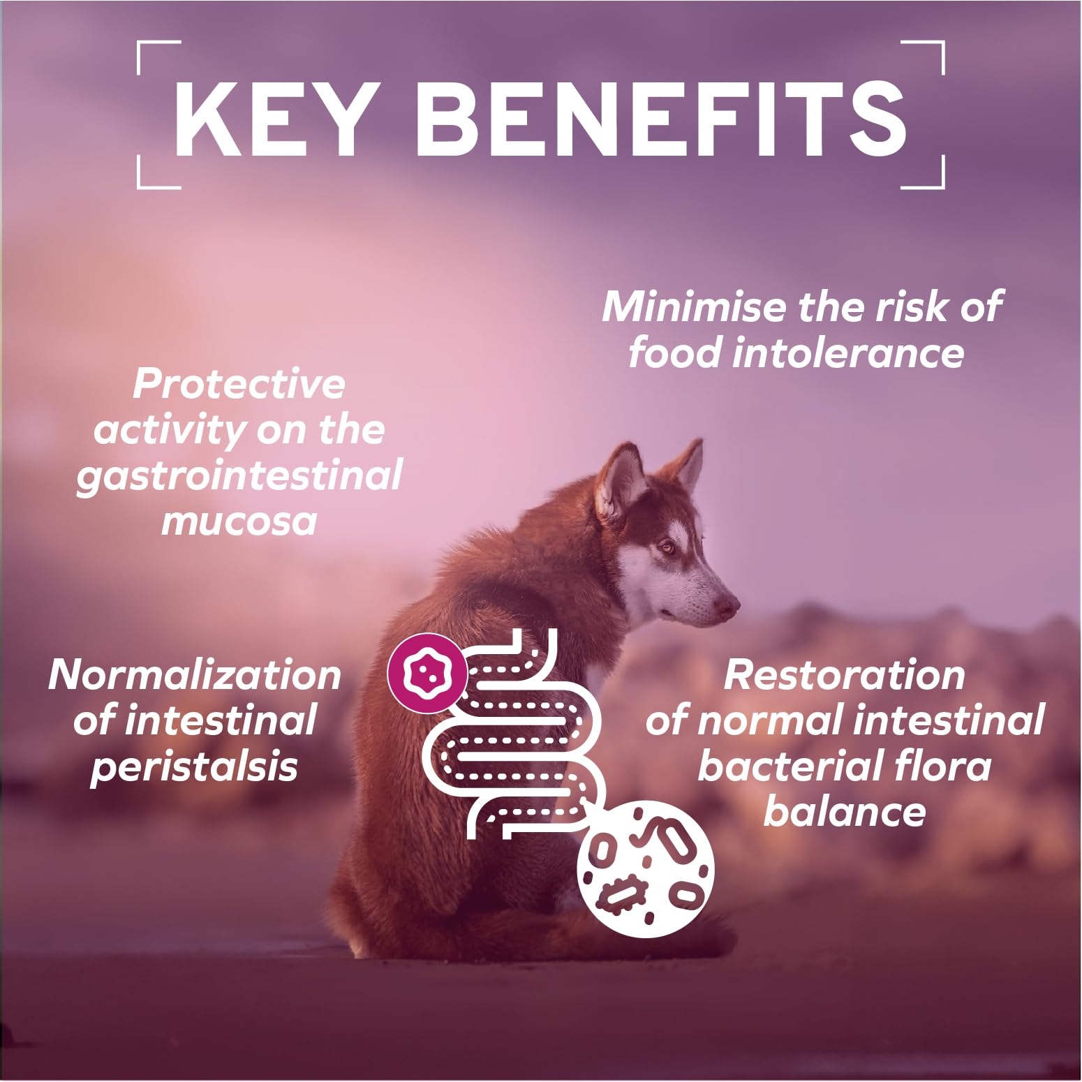 Forza10 oregano natural aromatics, flavor and digestion cue.