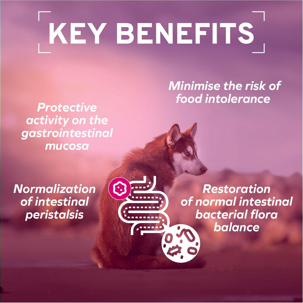 Forza10 oregano natural aromatics, flavor and digestion cue.