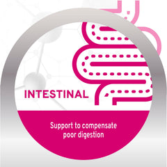 Forza10 psyllium husk fiber close-up highlighting gut-friendly fiber.