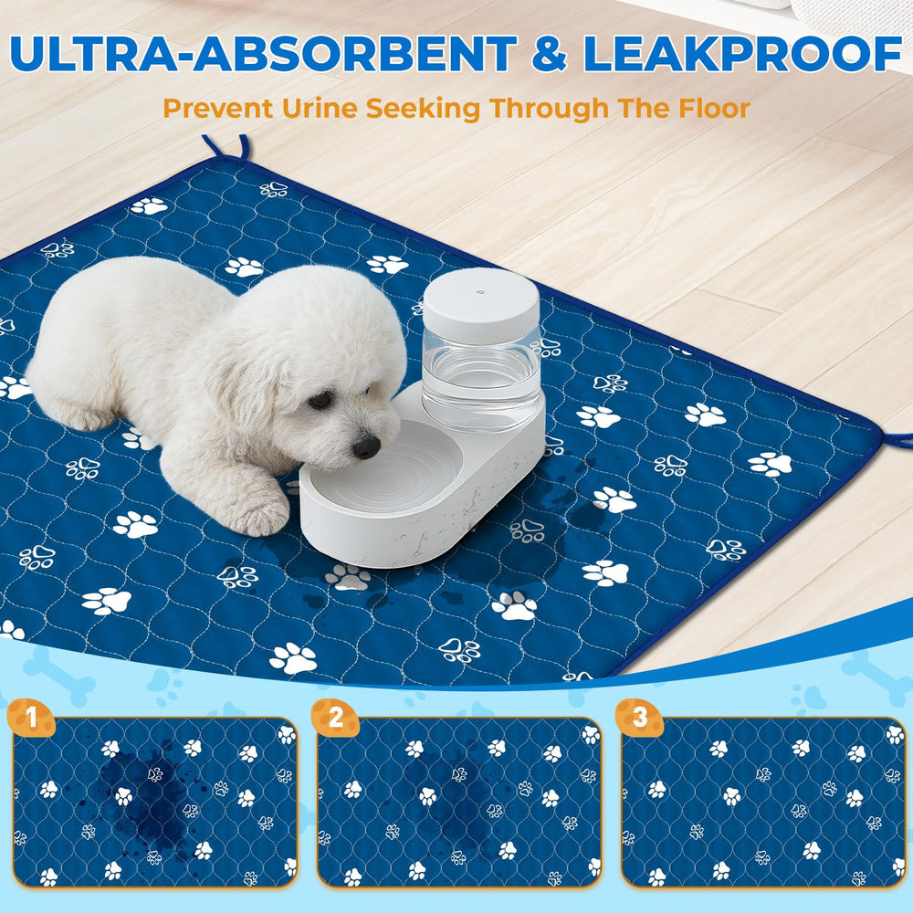 Fostanfly leak-proof layer illustration emphasizes floor protection and odor control