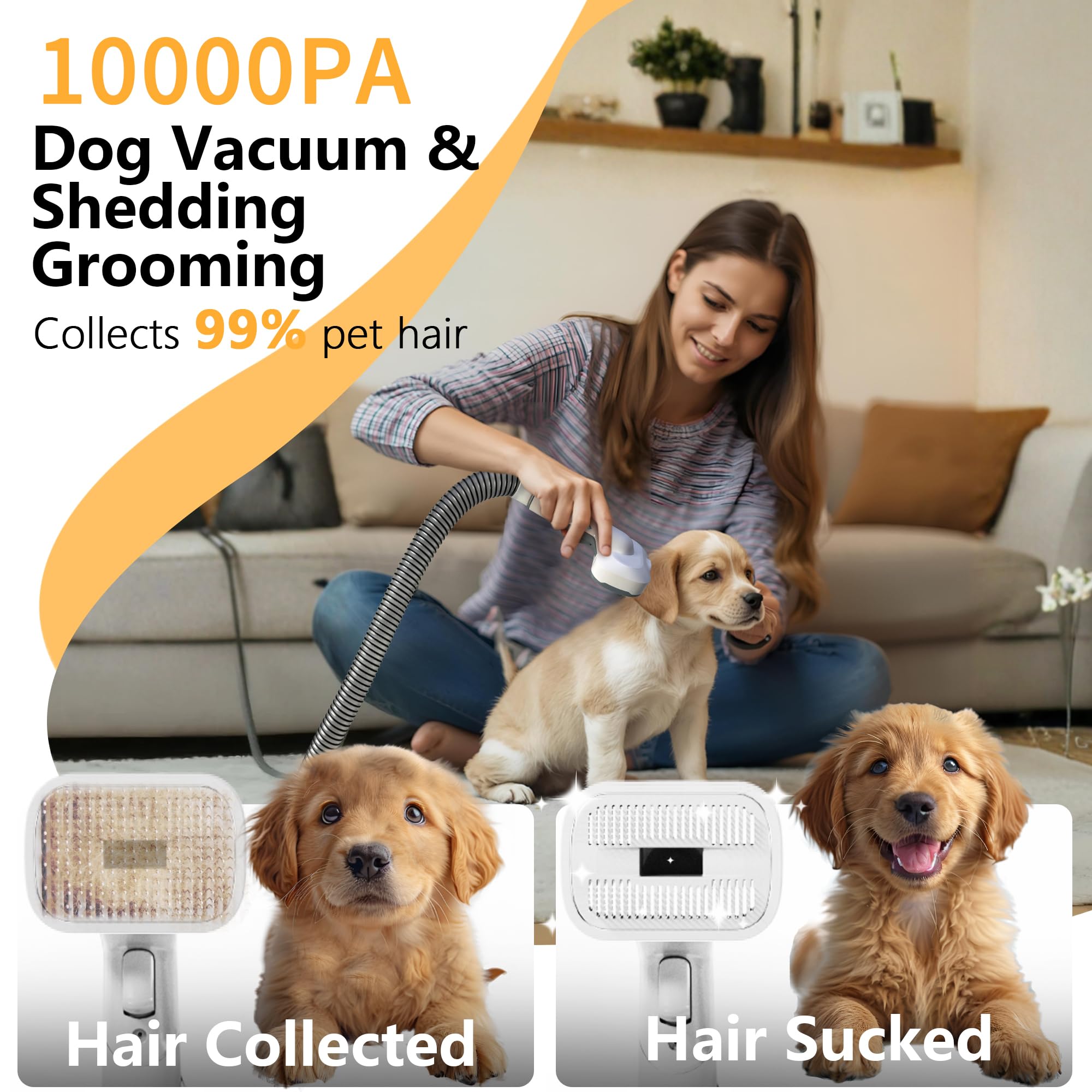FOTING blow-dry and suction combo dries fur while removing hair
