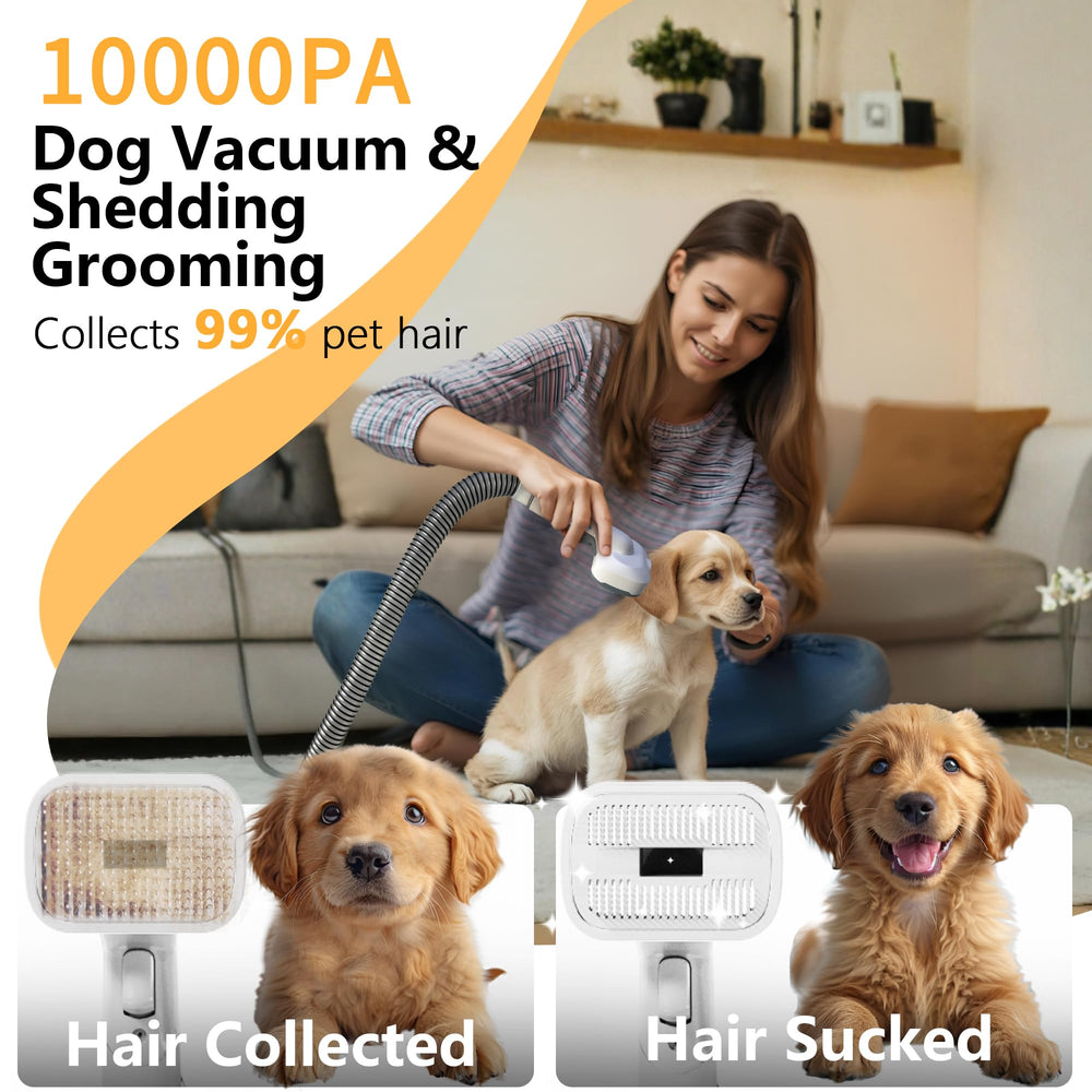 FOTING blow-dry and suction combo dries fur while removing hair