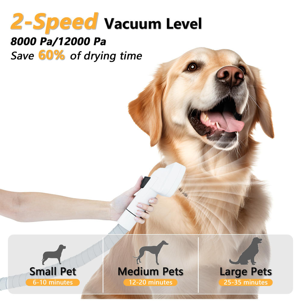 FOTING low-noise design stays under 60 dB, keeping pets calm during grooming.
