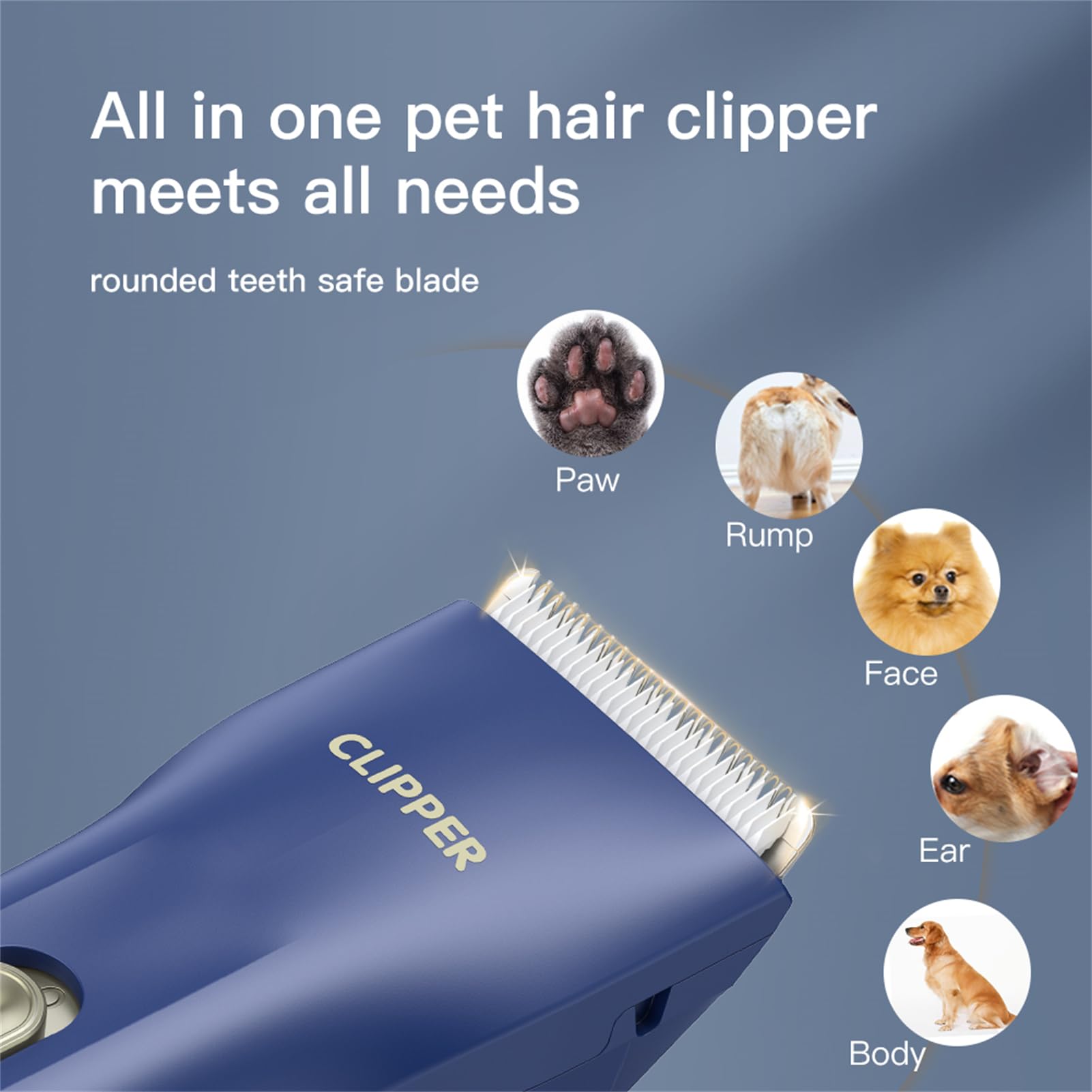 Founouly clipper with 12V motor for smooth trimming on thick coats.