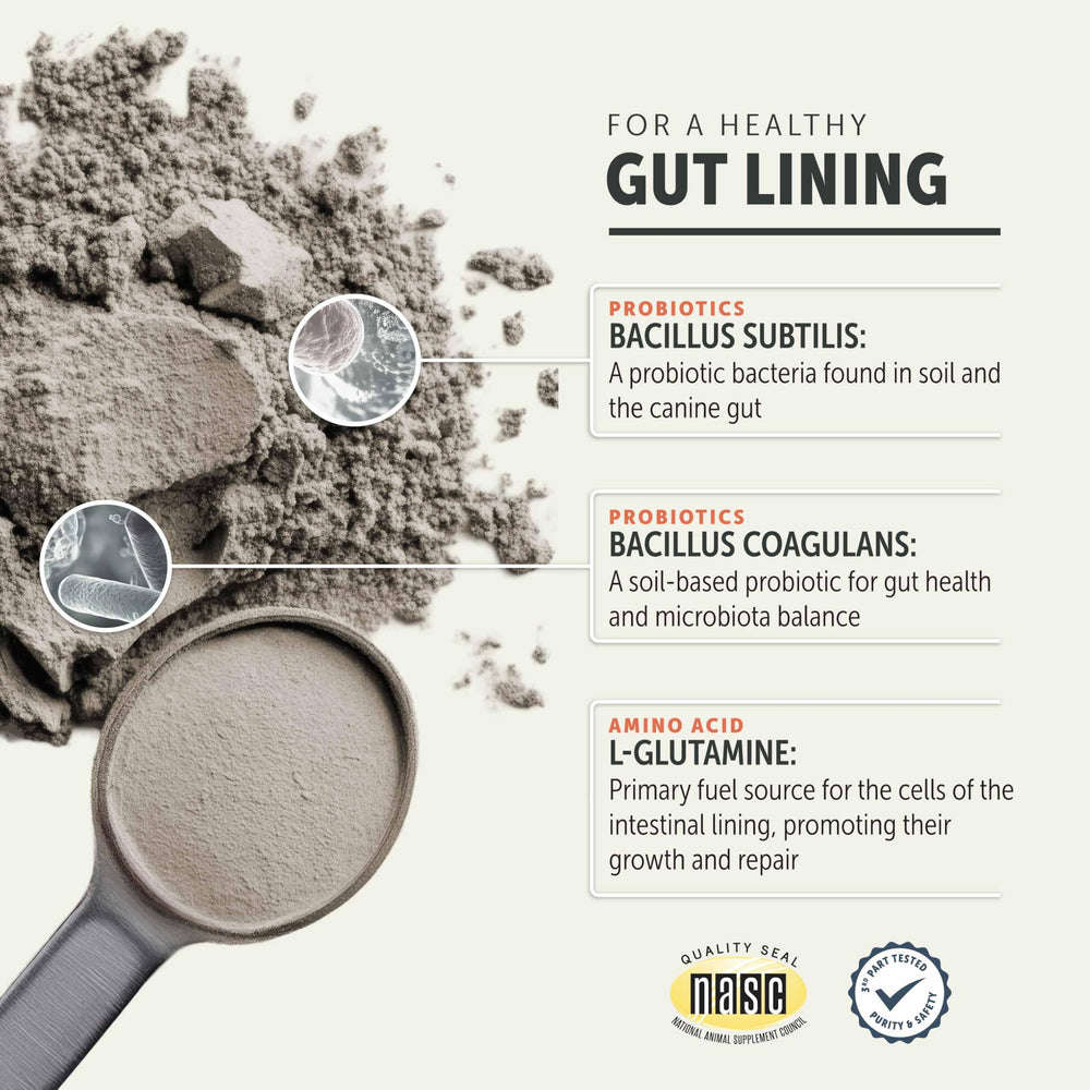 Four Leaf Rover Gut Guard label closeup—organic herbs featured for digestive health.