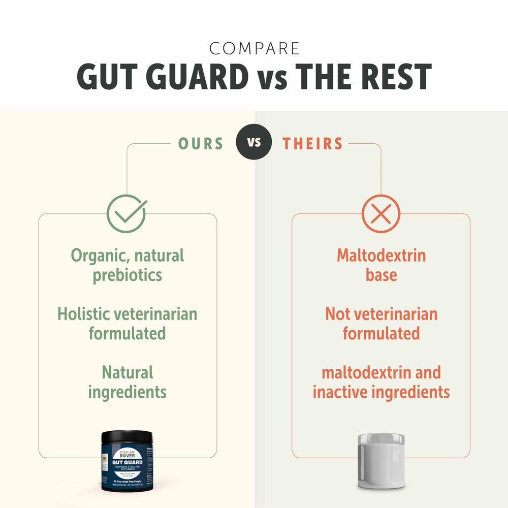 Four Leaf Rover Gut Guard nature-ingredients image—herbal blend for gut balance.